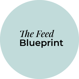 thefeedblueprint.com